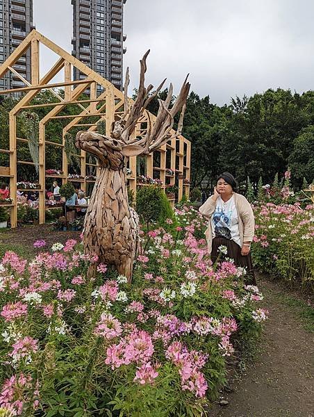 台北市/大安區/大安森林公園/醉蝶花之美