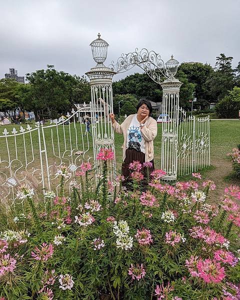 台北市/大安區/大安森林公園/醉蝶花之美