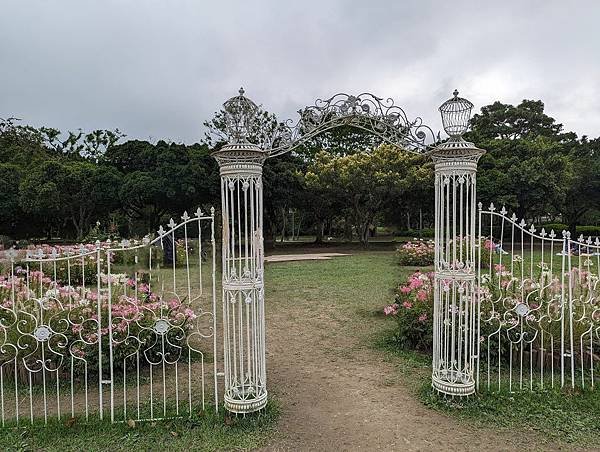 台北市/大安區/大安森林公園/醉蝶花之美