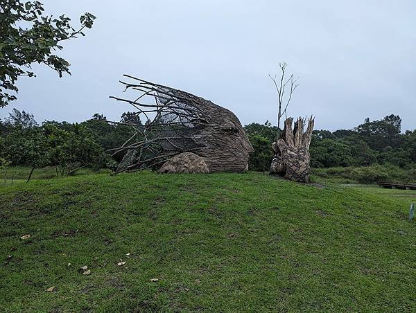 宜蘭縣/壯圍鄉/壯圍沙丘旅遊服務園區/雨中隨性拍拍