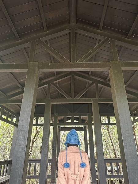 LINE_ALBUM_小甜甜_250223_20.jpg