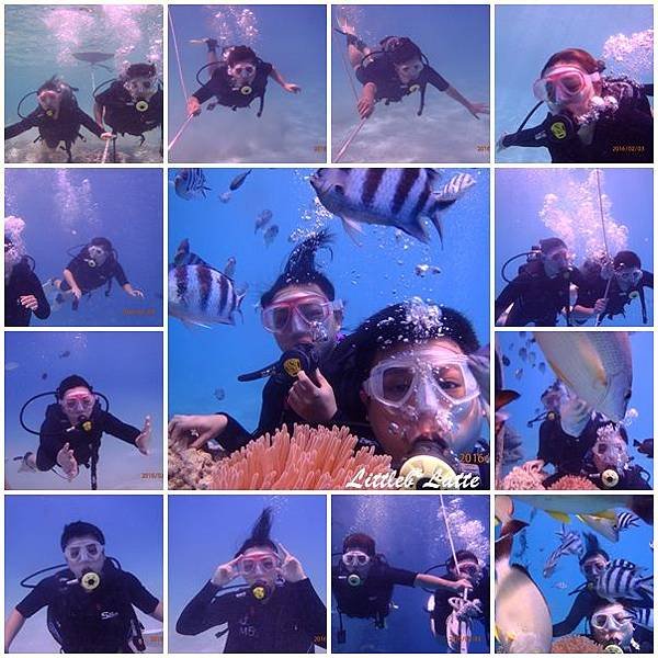 diving