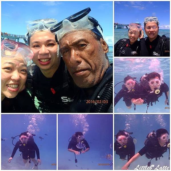 diving back