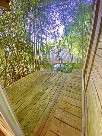 IMG_2193.JPG