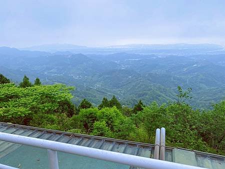 IMG_2341.JPG