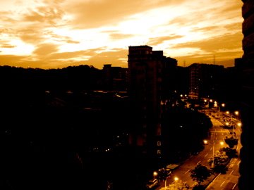 DSC01495.jpg