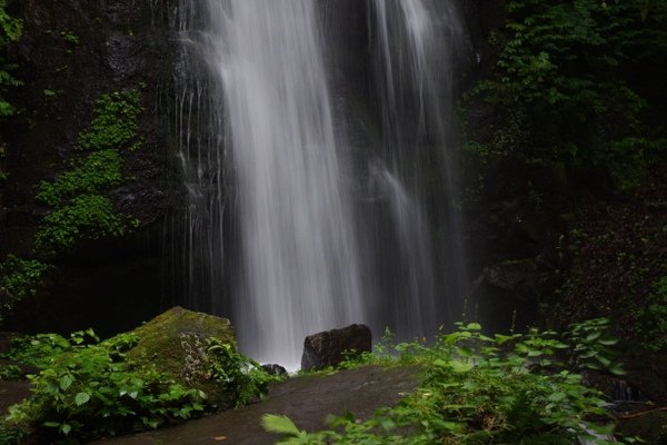 雲井如絹