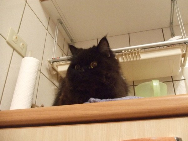 下往上看