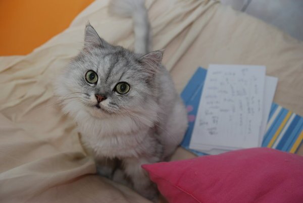 渴望~
