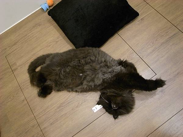 又亂扭了~