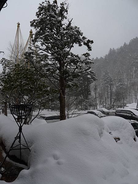 雪積好厚還都鬆鬆的說~