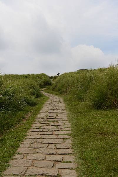 來擎天岡