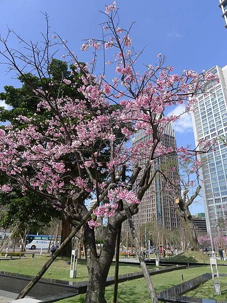 怒奔信義區買東西