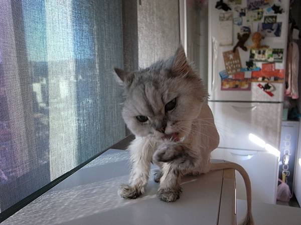 狂舔~~
