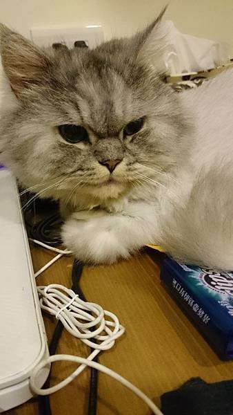 DSC_0316_1.JPG