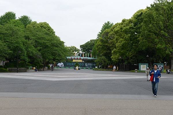 DSC_0305.jpg