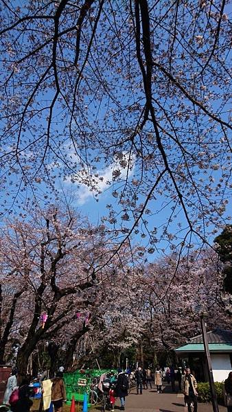 DSC_1838.jpg