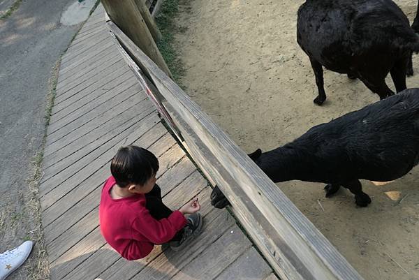P1260852.JPG