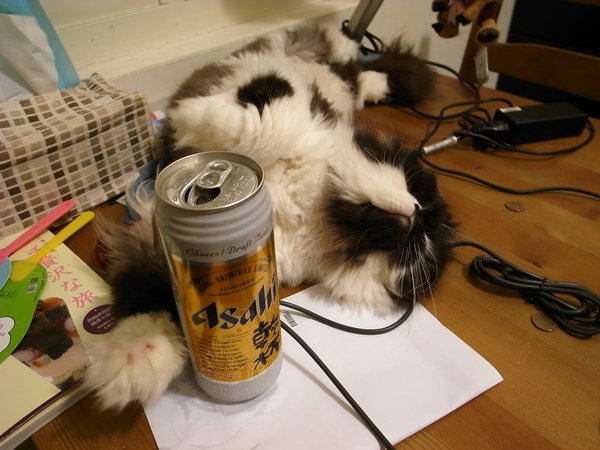 夏天要喝啤酒呀