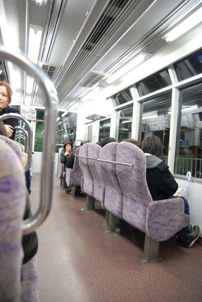 賞楓列車是有面對窗戶的椅子～～