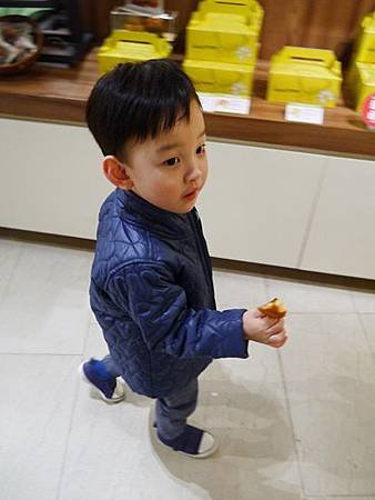 P1240554.JPG