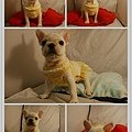m7nlBWNyTPKX3kuRE4GNgg