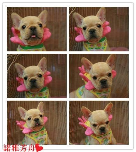 恩典)