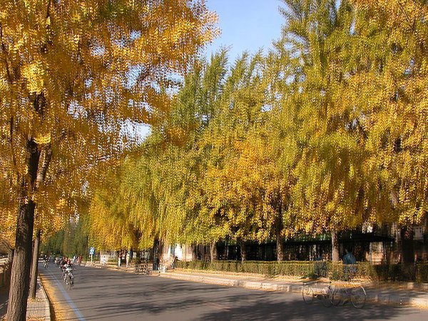 DSCN1021.JPG