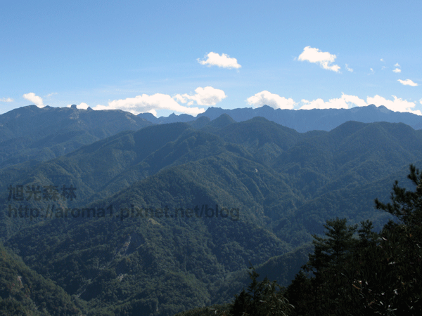 聖稜線-觀霧榛山步道頂