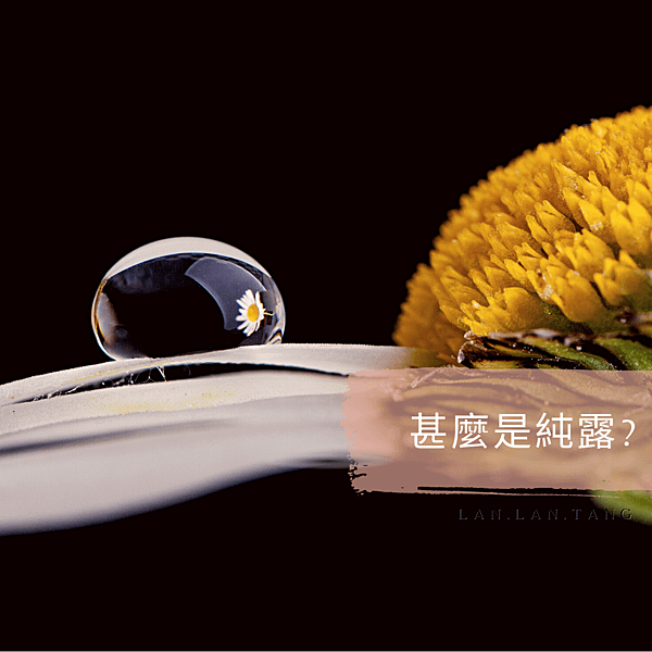 蘭蘭發文圖 (9).png