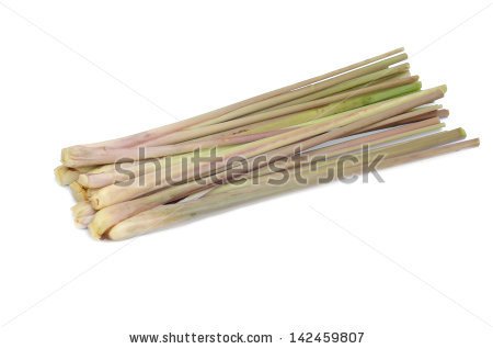 Cymbopogon nardus-stock-photo-citronella-grass-isolated-on-white-background-142459807