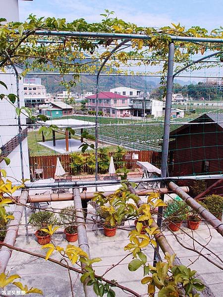 49-苗栗大湖御賞屋溫泉民宿.JPG