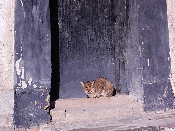 14-西藏扎什倫布寺