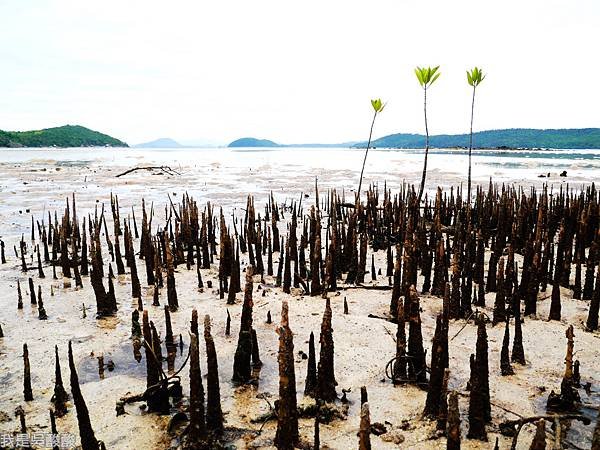 004-Coron Coral Bay Beach And Dive Resort.JPG