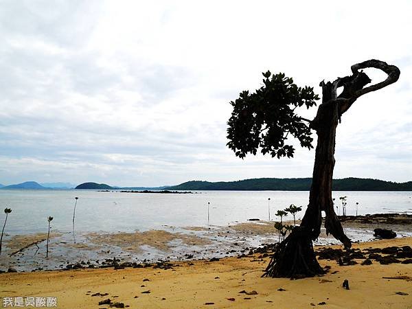 009-Coron Coral Bay Beach And Dive Resort.JPG