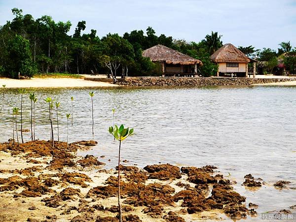 011-Coron Coral Bay Beach And Dive Resort.JPG