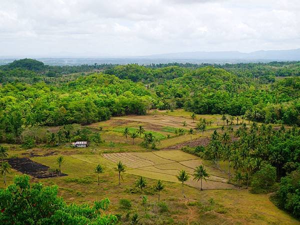 11-宿霧巧克力山 Chocolate Hills 酸酸.JPG