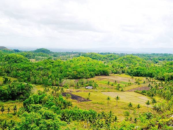 13-宿霧巧克力山 Chocolate Hills 酸酸.JPG