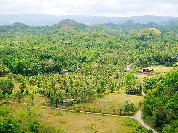 12-宿霧巧克力山 Chocolate Hills 酸酸.JPG