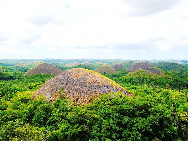 15-宿霧巧克力山 Chocolate Hills 酸酸.JPG