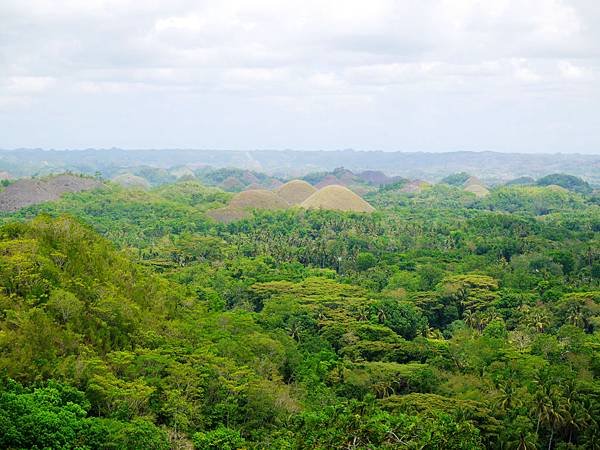 16-宿霧巧克力山 Chocolate Hills 酸酸.JPG