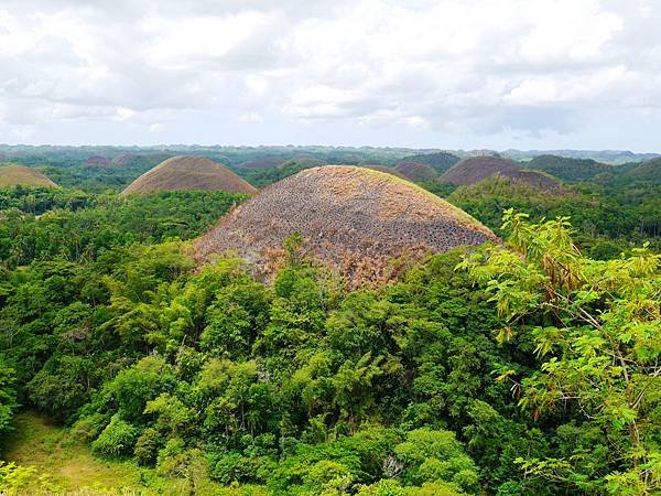 18-宿霧巧克力山 Chocolate Hills 酸酸.JPG