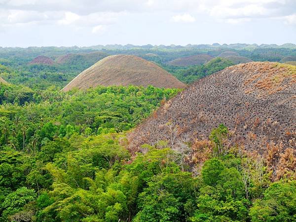 19-宿霧巧克力山 Chocolate Hills 酸酸.JPG