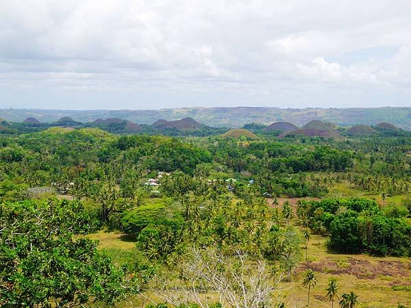 22-宿霧巧克力山 Chocolate Hills 酸酸.JPG