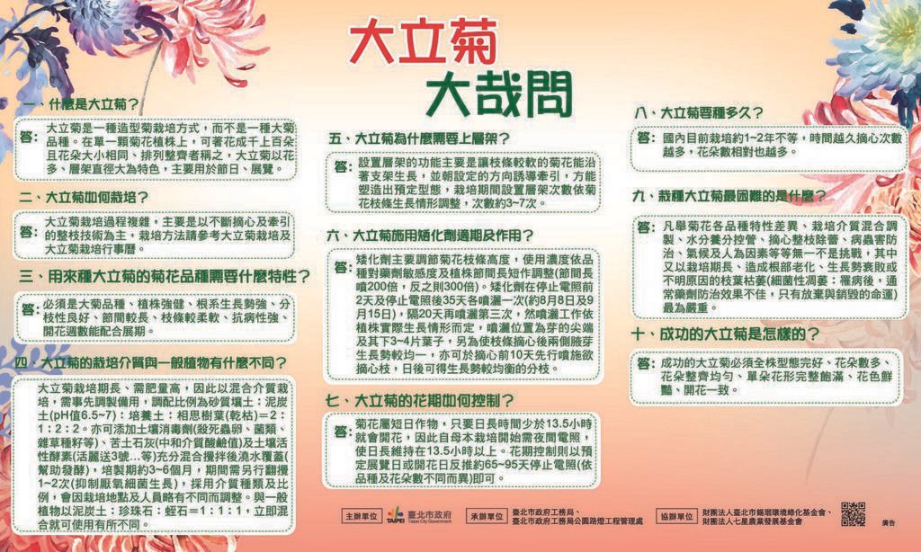 69-什麼是大立菊.jpg
