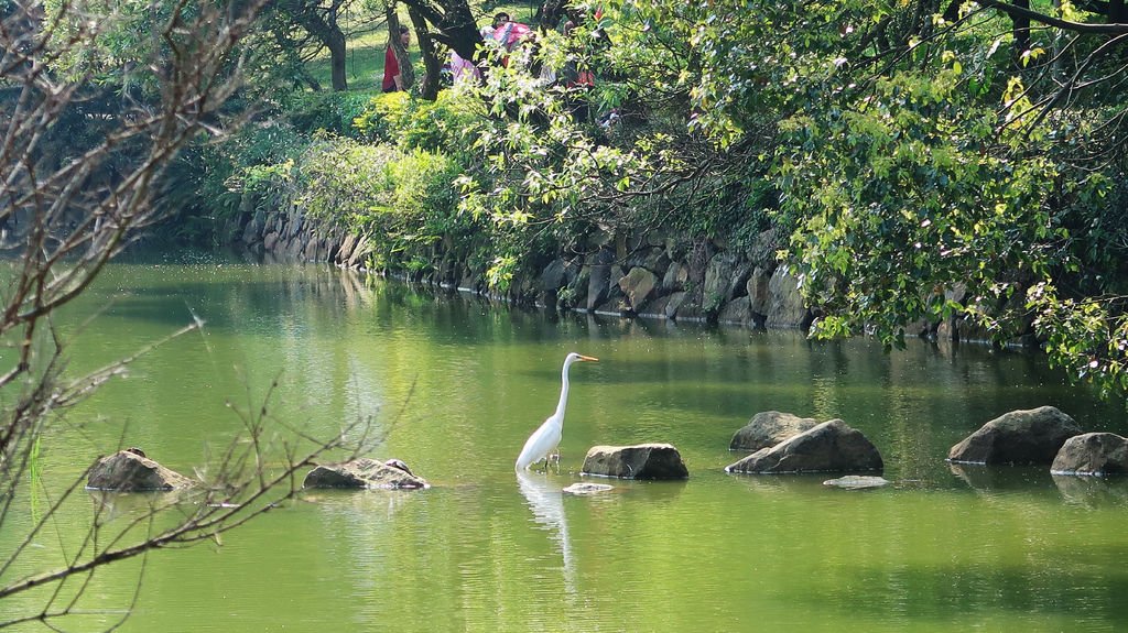 10-桃園角板山公園 新溪口吊橋.JPG