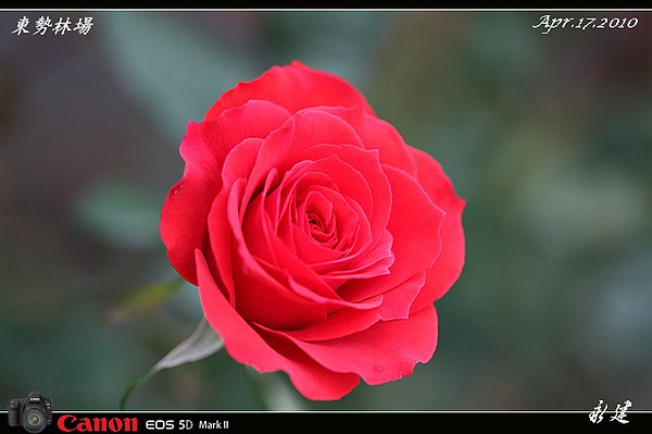 nEO_IMG_IMG_2558.jpg
