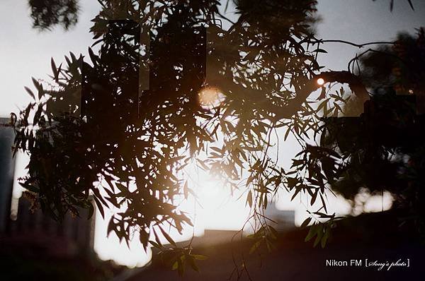 120725_02_Film_04