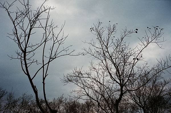 140106_04_Film_15