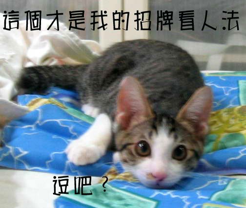 逗逗4.jpg